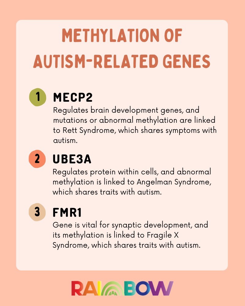 methylation and autism